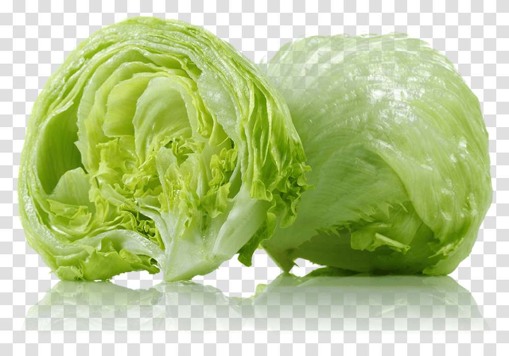Lettuce Iceberg Lettuce, Plant, Vegetable, Food, Cabbage Transparent Png
