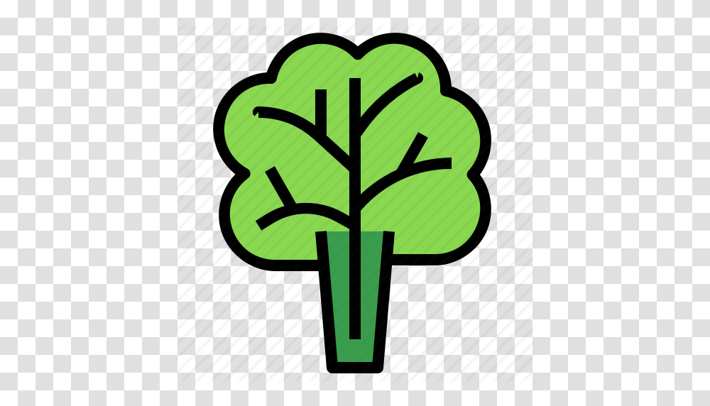 Lettuce Icon, Plant, Dynamite, Green, Vegetable Transparent Png