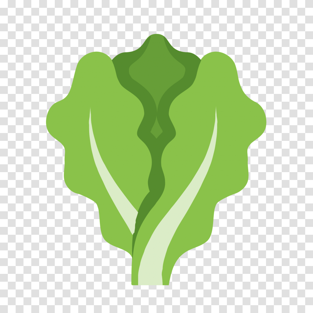 Lettuce Icon, Plant, Vegetable, Food, Cabbage Transparent Png