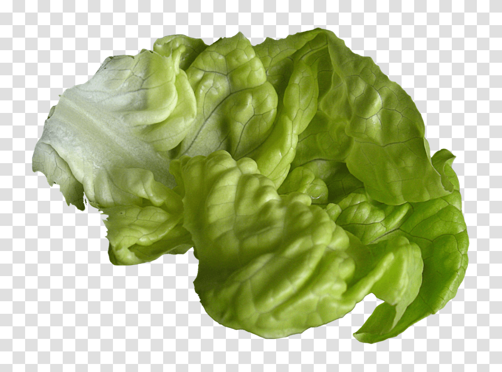Lettuce Image, Vegetable, Plant, Food, Spinach Transparent Png