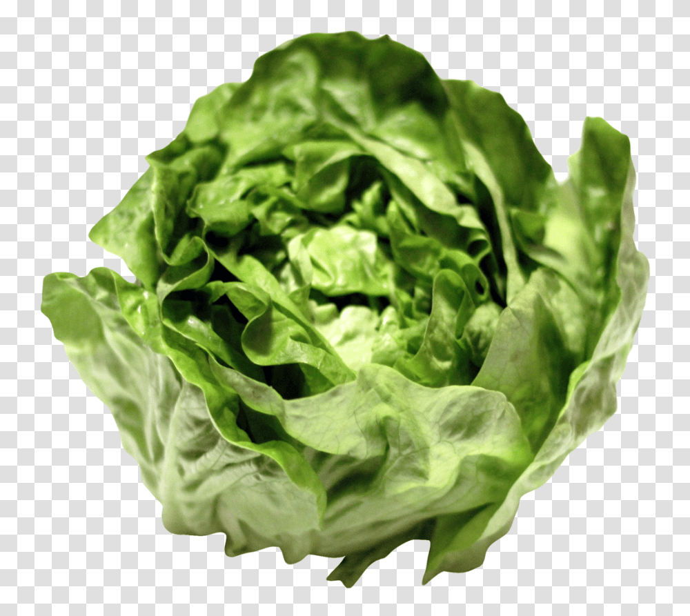 Lettuce Image, Vegetable, Plant, Food Transparent Png