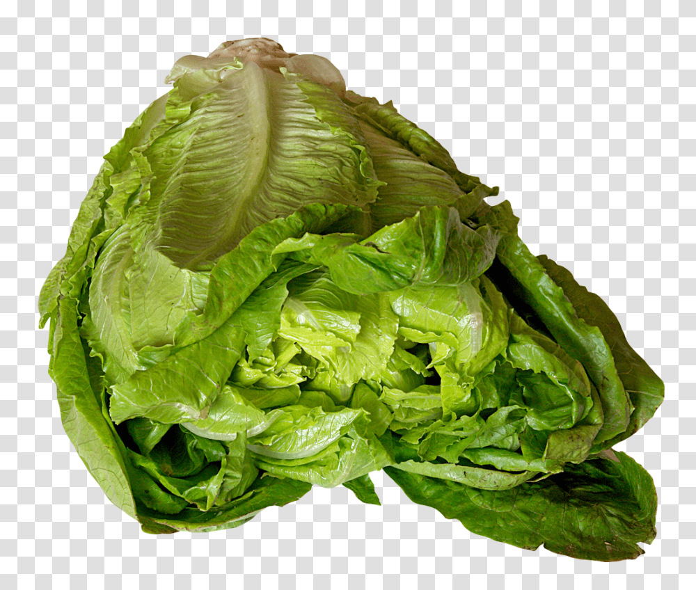 Lettuce Image, Vegetable, Plant, Food Transparent Png