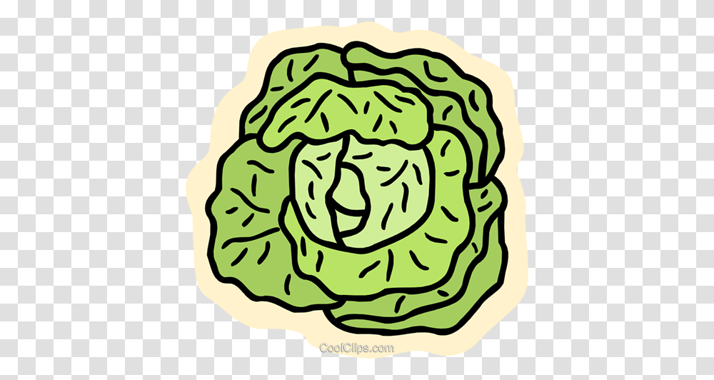 Lettuce Royalty Free Vector Clip Art Illustration, Plant, Vegetable, Food, Cabbage Transparent Png