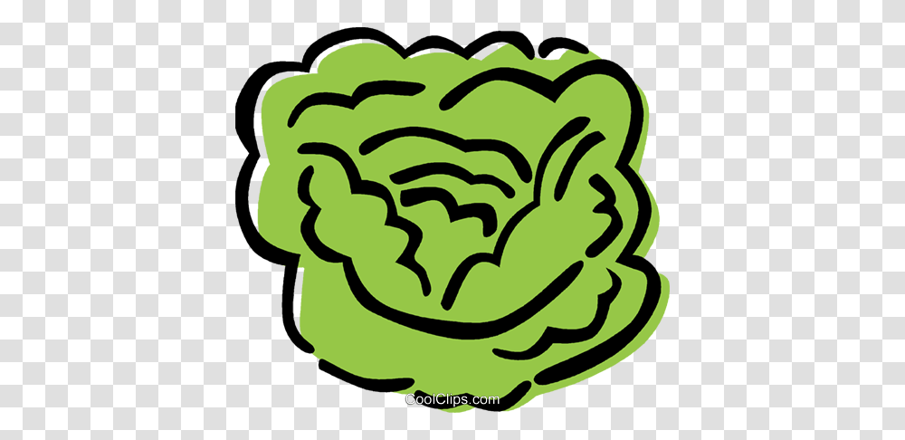 Lettuce Royalty Free Vector Clip Art Illustration, Plant, Vegetable, Food, Produce Transparent Png