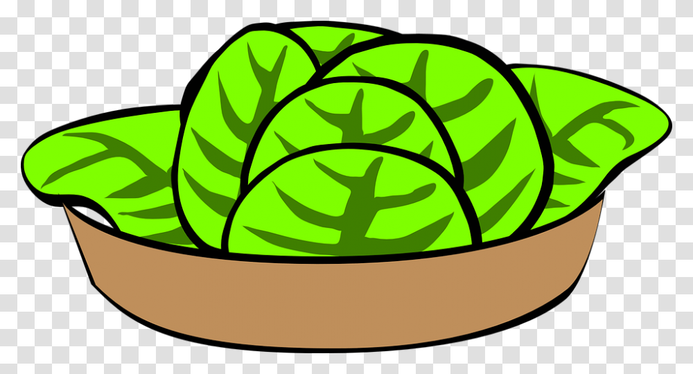 Lettuce Salad Clipart Explore Pictures, Plant, Food, Vegetable, Cabbage Transparent Png