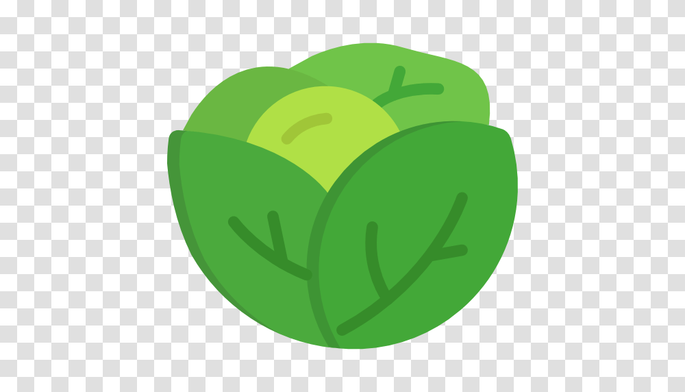 Lettuce, Tennis Ball, Sport, Sports, Plant Transparent Png