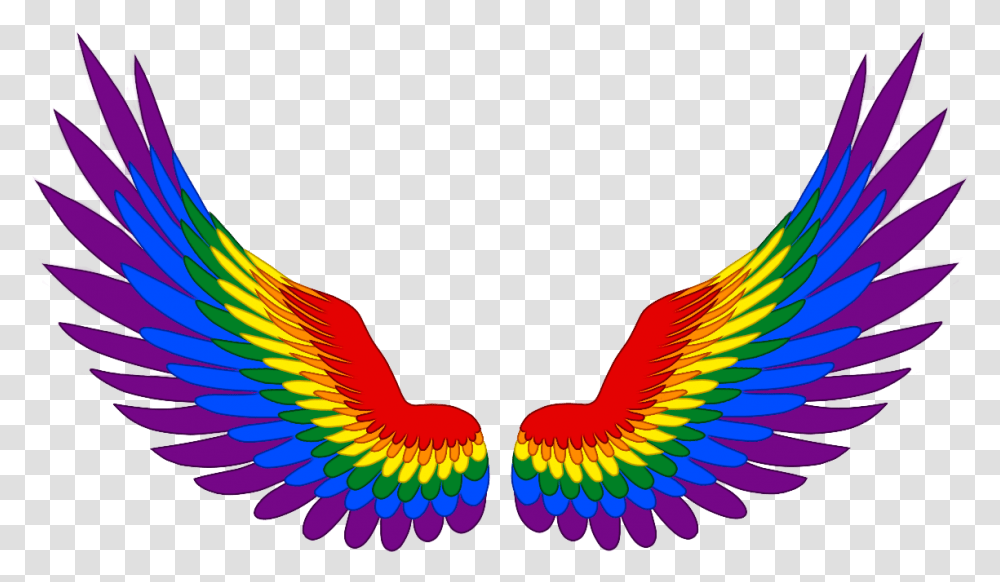 Lgbt Pride, Bird, Animal, Pattern Transparent Png