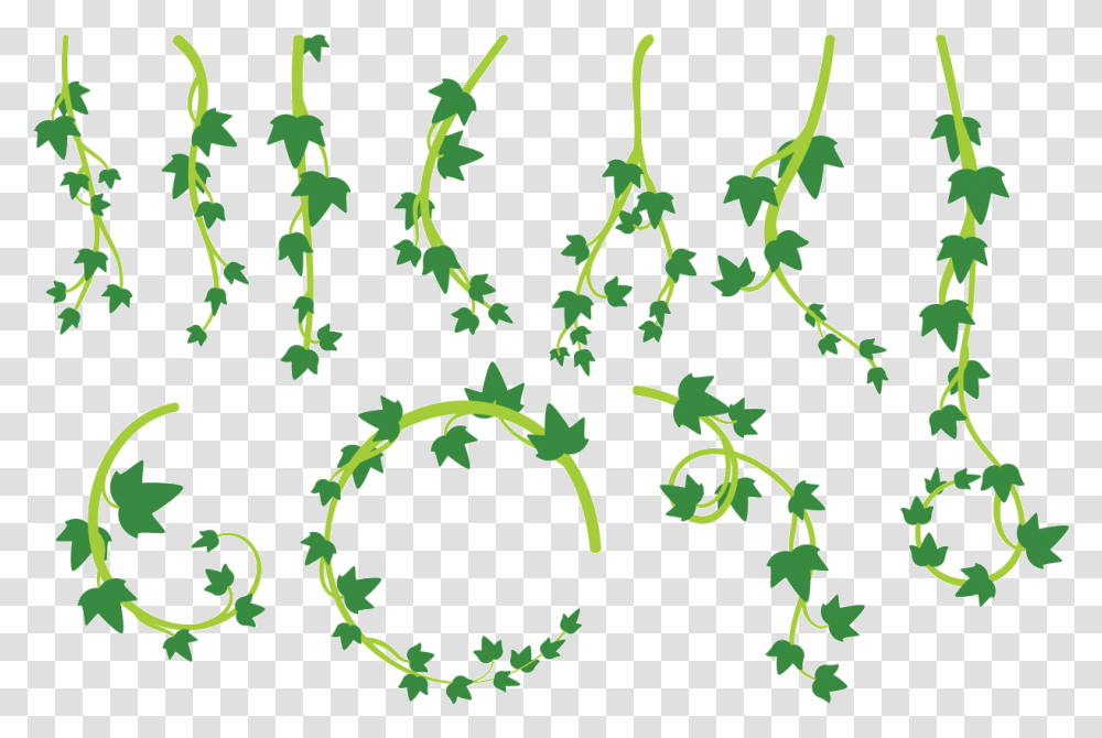 Liana Leaves Vector Lianas, Plant, Vine, Green, Leaf Transparent Png