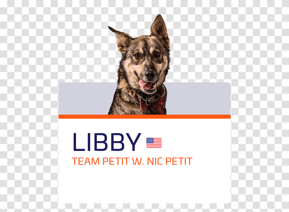 Libby Dog Catches Something, Advertisement, Poster, Pet, Canine Transparent Png