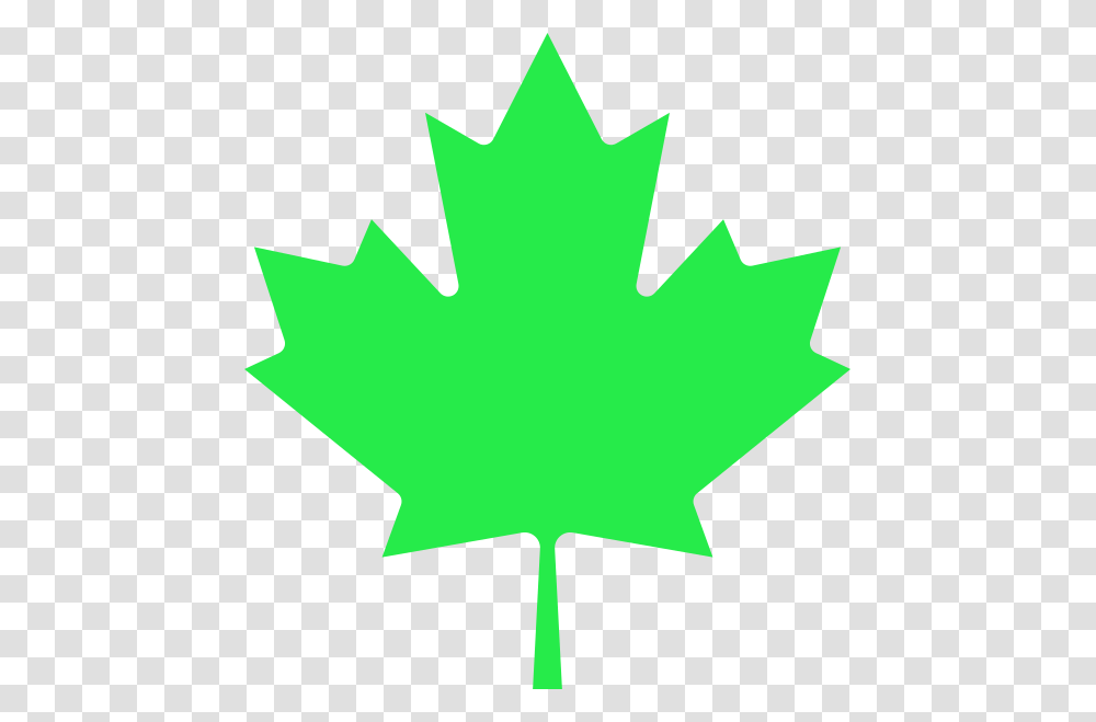 Libertarian Maple Leaf Canadian Maple Leaf Vector, Plant, Tree, Person, Human Transparent Png