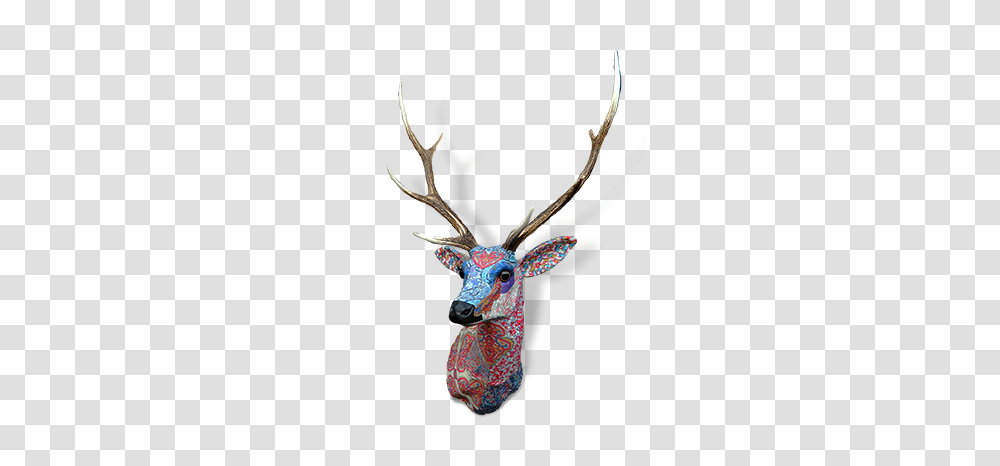 Liberty Stag Head Deer Head Ideas Stag Head Deer, Antler, Wildlife, Mammal, Animal Transparent Png
