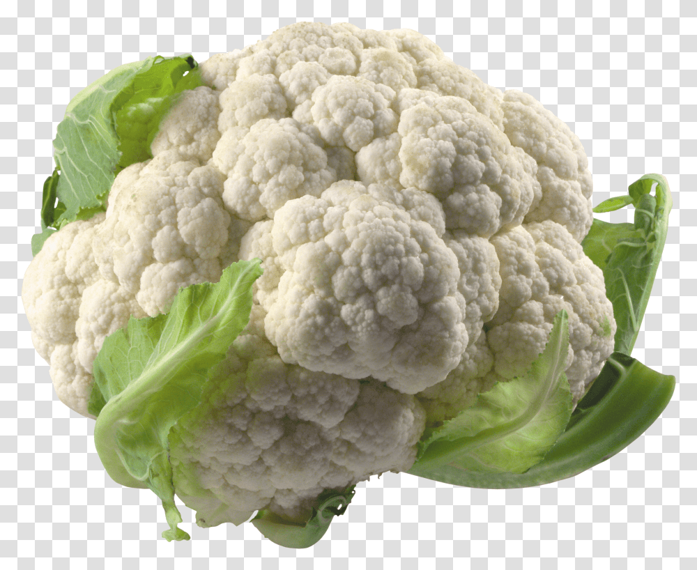 Library Broccoli Clipart Cauliflower Cauliflower, Vegetable, Plant, Food, Fungus Transparent Png