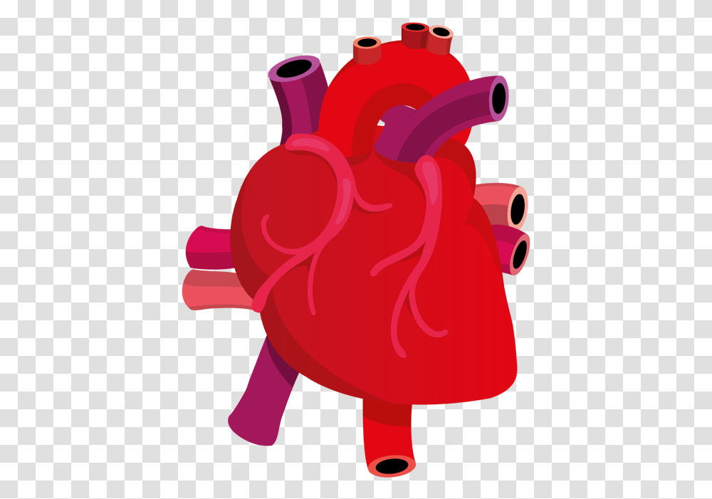 Library Of Anatomical Heart Svg Free Human Heart Vector, Weapon, Bomb, Plant, Dynamite Transparent Png