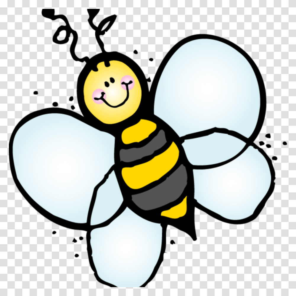Library Of Apple And Bee Clipart Files Melonheadz Bee Clipart Black And White, Honey Bee, Insect, Invertebrate, Animal Transparent Png