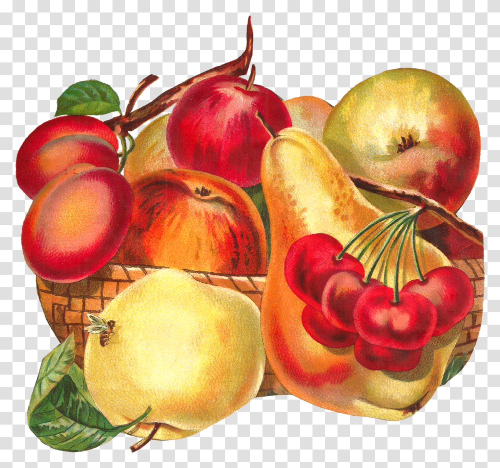 Library Of Apple Fruit Clip Stock Files Clipart Vintage Fruit Basket, Plant, Food, Peach, Produce Transparent Png
