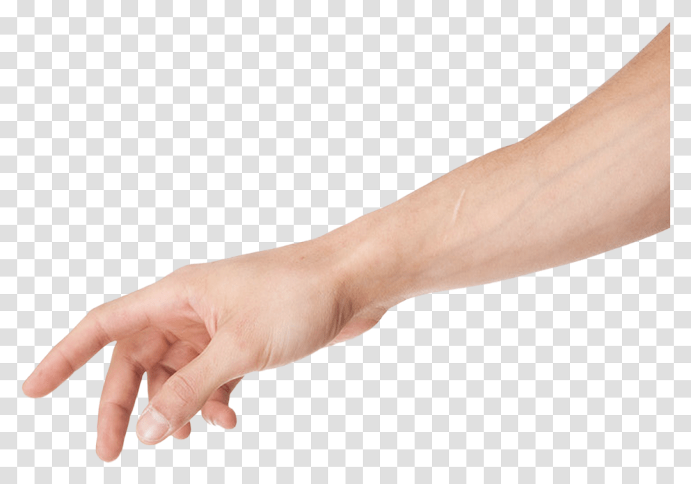 Library Of Arm Image No Background Files Background Arm, Hand, Person, Human, Wrist Transparent Png