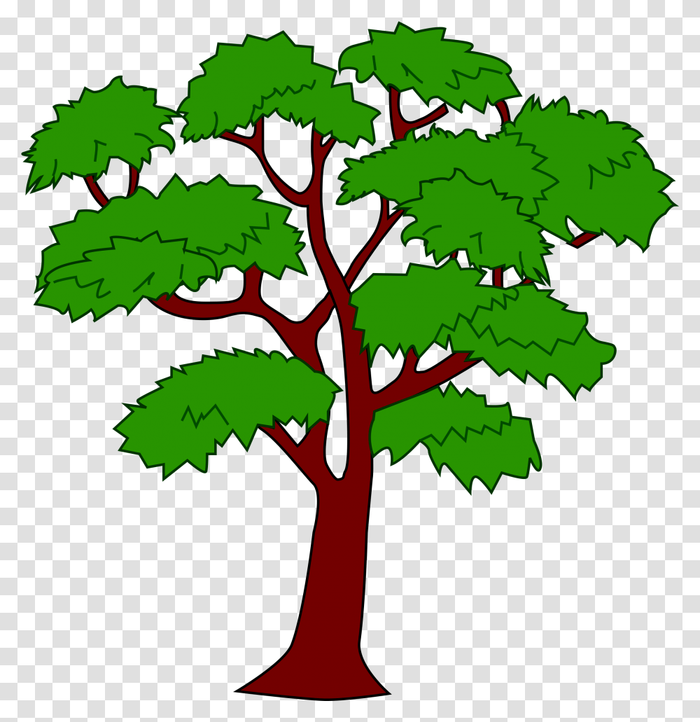 Library Of Big Tree Royalty Free Download Files Coat Of Arms Belize, Plant, Leaf, Silhouette, Palm Tree Transparent Png