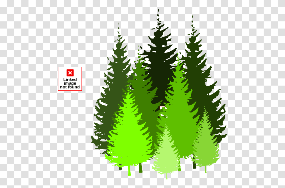 Library Of Conifer Tree Clipart Royalty Pine Tree Clipart Free, Plant, Fir, Abies, Ornament Transparent Png