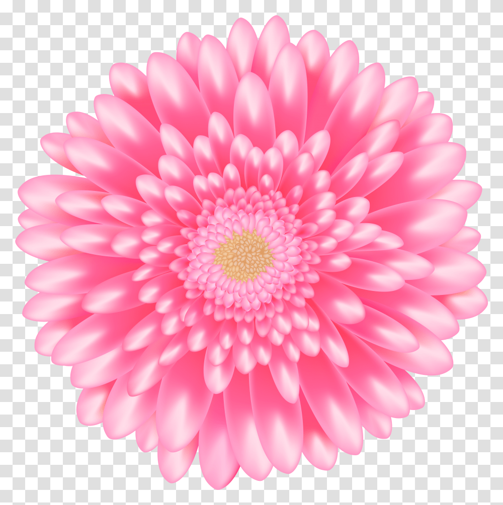 Library Of Daisy Flower Clipart Stock Free Files Background Pink Flower Clipart Transparent Png