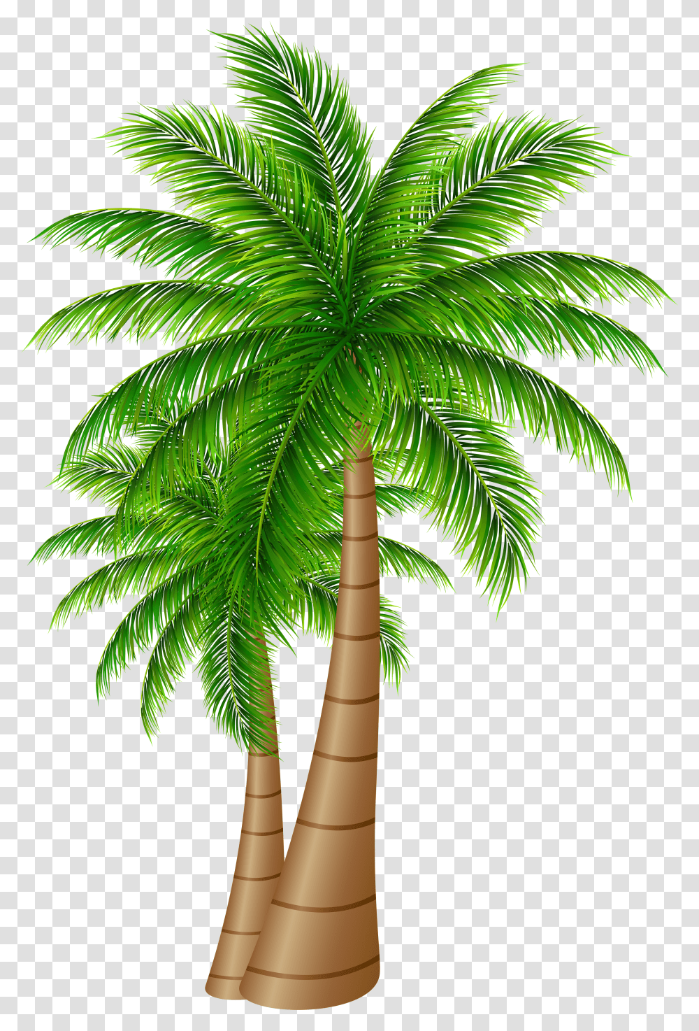 Library Of Date Palm Tree Background Palm Tree Transparent Png