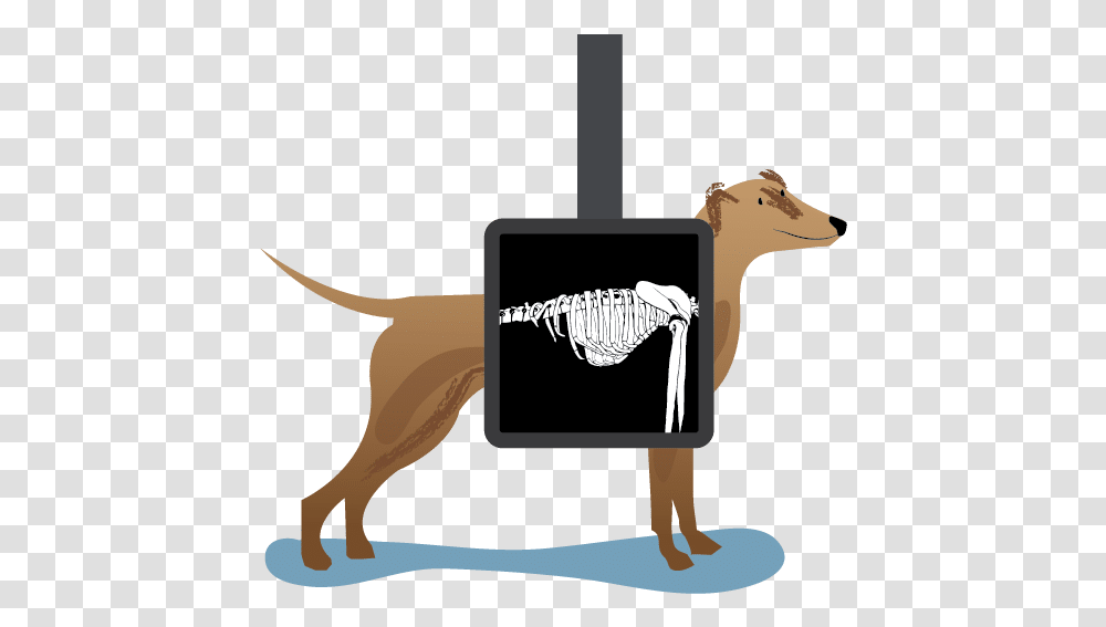 Library Of Dog Xray Picture Black And Animal Xray Clip Art, Mammal, Pet, Canine, Den Transparent Png
