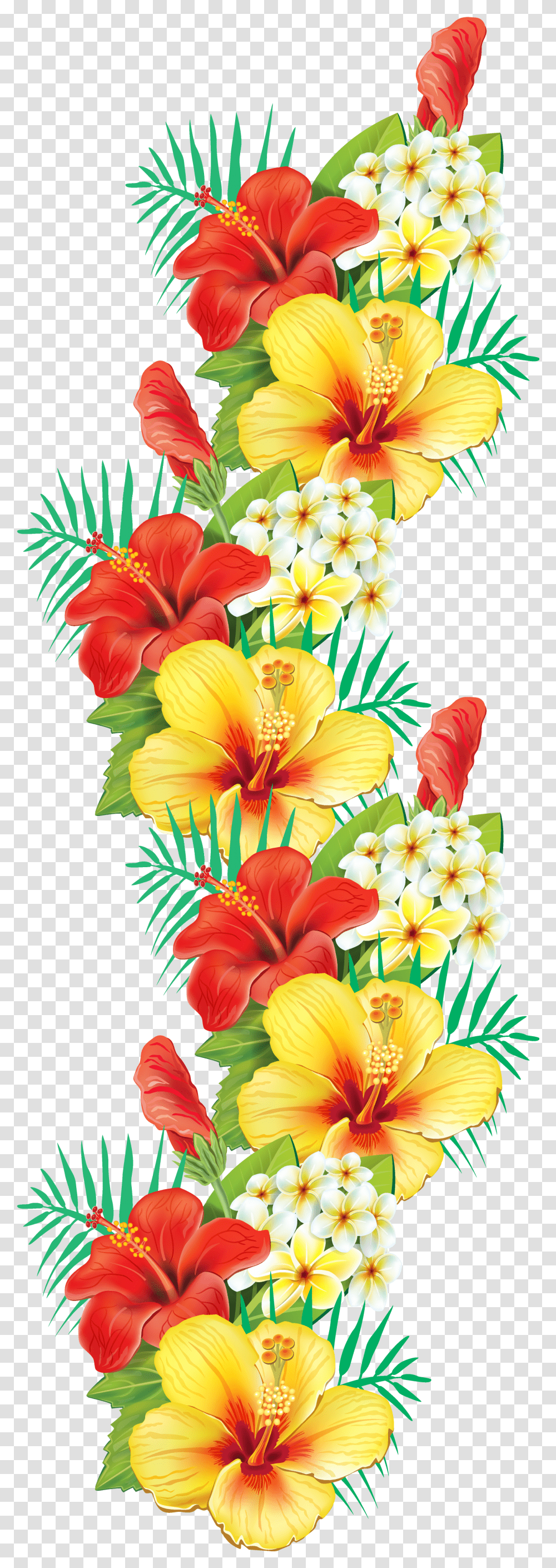 Library Of Flower Arranging Black Tropical Border, Plant, Blossom, Graphics, Art Transparent Png