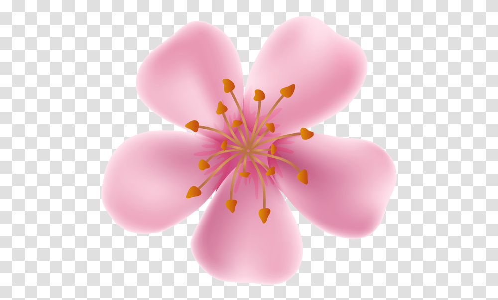 Library Of Flower Bloomed Clip Freeuse Files Blossom Blooming Flower, Plant, Geranium, Balloon, Petal Transparent Png