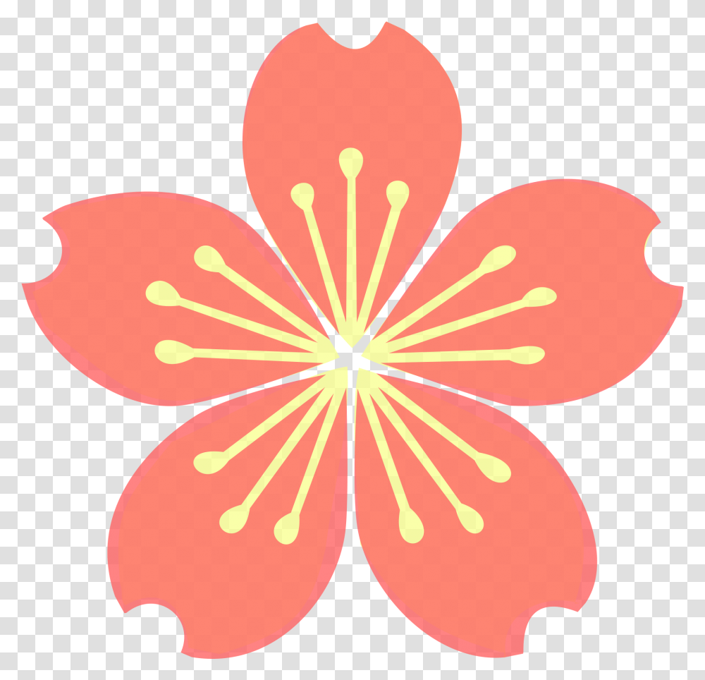 Library Of Flower Blossom Jpg Files Membrana Embreagem, Petal, Plant, Geranium, Anther Transparent Png
