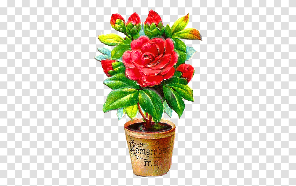 Library Of Flower Bush Clip Files Clipart Rose Plant In Pot Clipart, Blossom, Flower Arrangement, Flower Bouquet, Petal Transparent Png