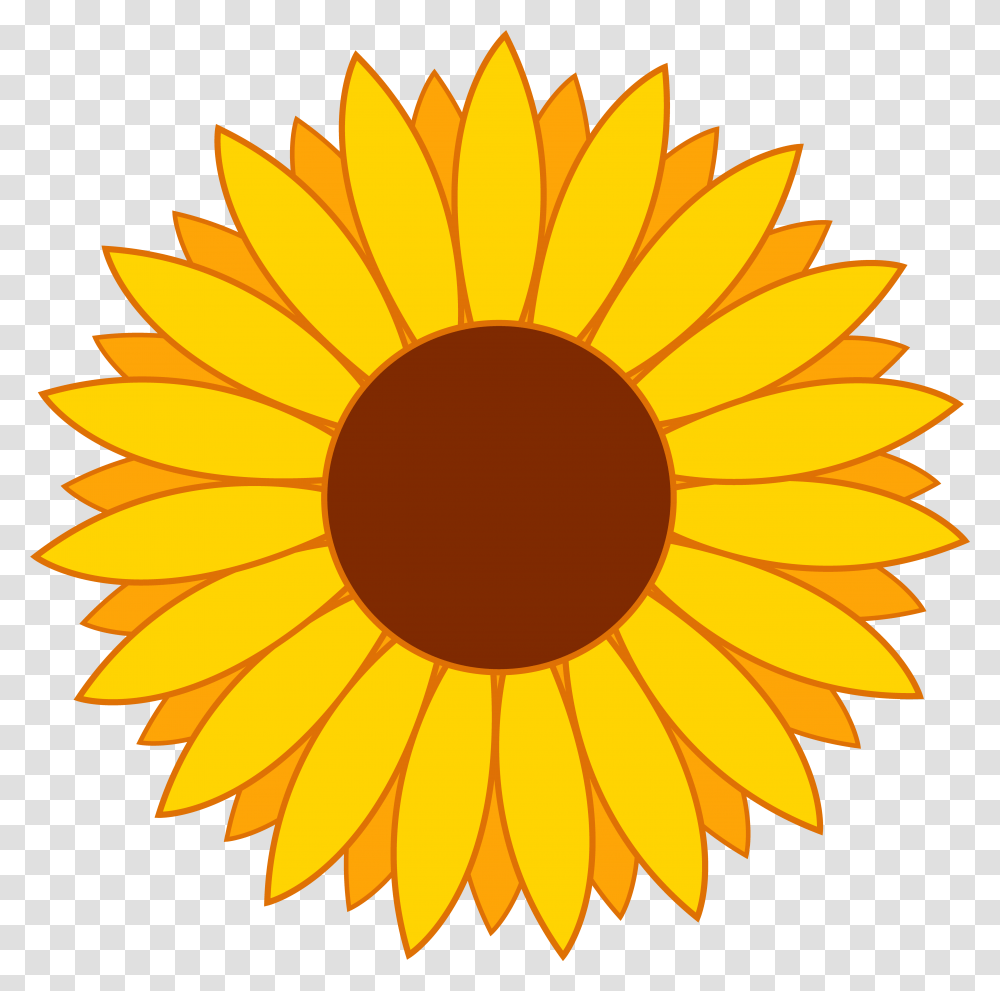 Library Of Flower Cartoon Free Sunflower Clipart, Plant, Blossom Transparent Png