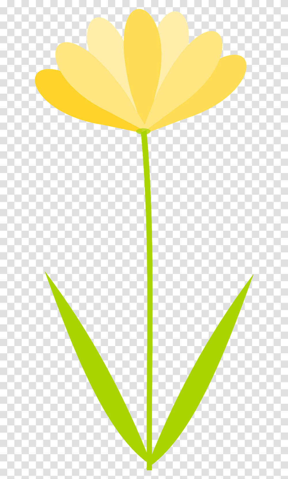 Library Of Flower Clip Clipart Flower Background, Plant, Blossom, Dandelion, Bud Transparent Png