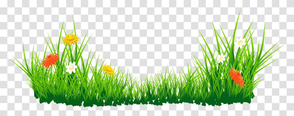 Library Of Flower Clipart Stock Files Green Grass, Plant, Leaf, Pattern, Fractal Transparent Png