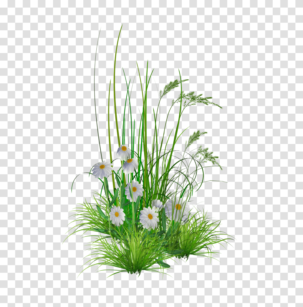 Library Of Flower Gardening Image Stock Hd Image Of Flowers, Plant, Vase, Jar, Pottery Transparent Png