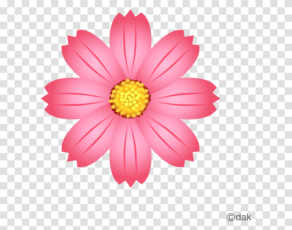 Library Of Flower Icon Image Royalty Flower Graphic, Plant, Daisy, Daisies, Blossom Transparent Png