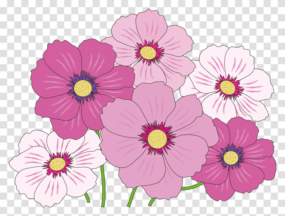 Library Of Flower Icon Image Royalty Free Download Files, Plant, Petal, Blossom, Daisy Transparent Png