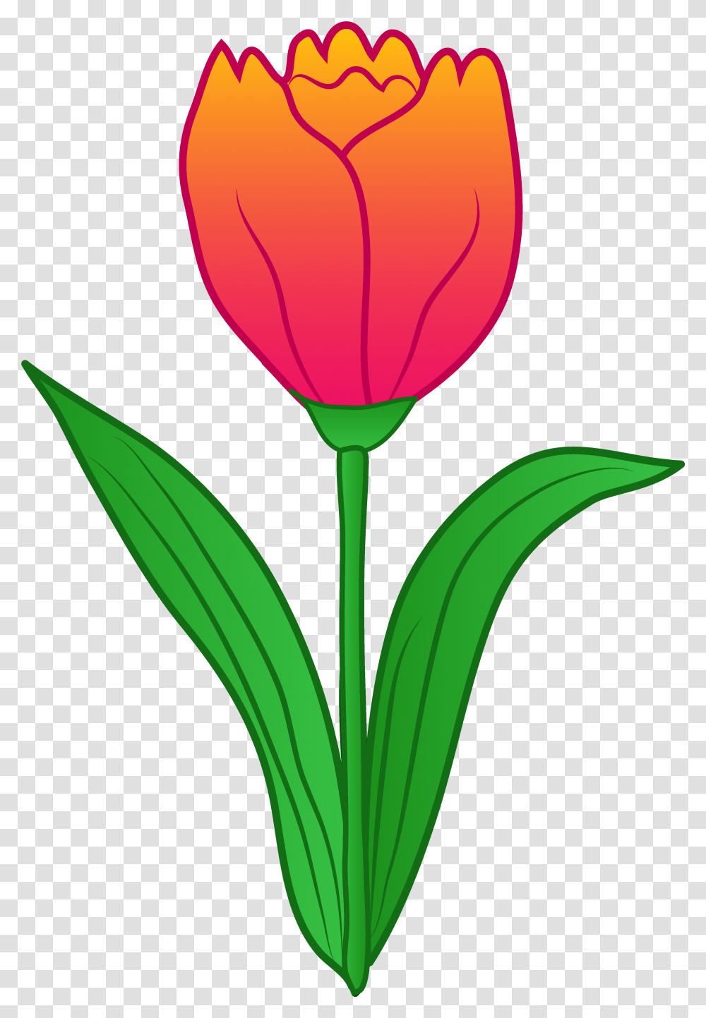 Library Of Flower Image Free Tulip Files Clipart Clip Art Of Tulip Flower, Plant, Blossom, Petal Transparent Png