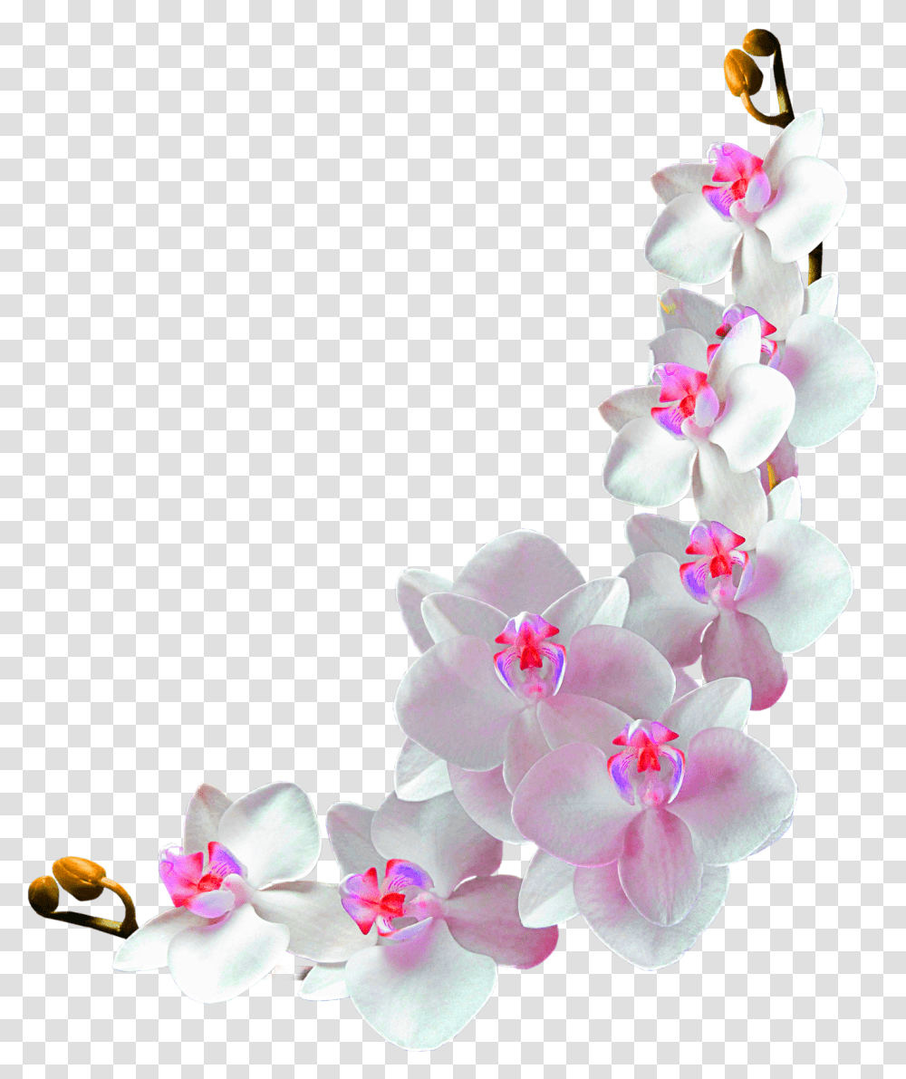 Library Of Flower Vines Download Files Background Orchid, Plant, Flower Arrangement, Cherry Blossom, Wedding Cake Transparent Png