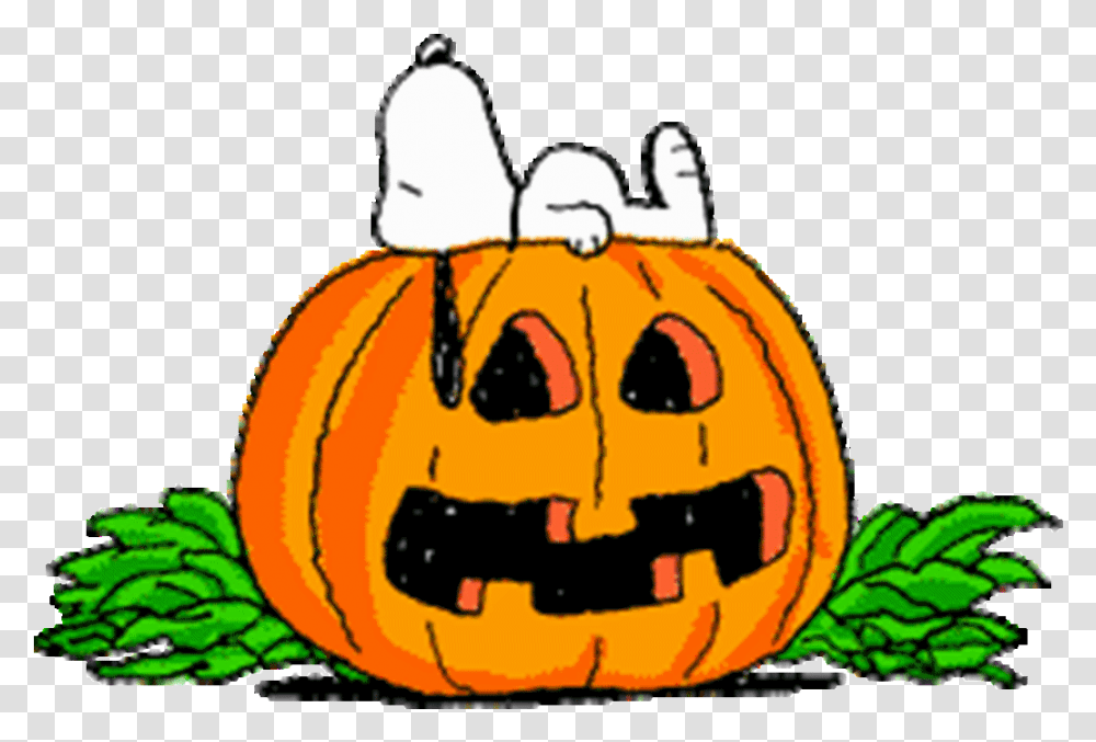 Library Of Free Animated Halloween Banner Freeuse Files Charlie Brown Jack O Lantern, Pumpkin, Vegetable, Plant, Food Transparent Png