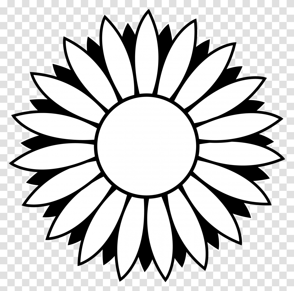 Library Of Free Color Book Vector Sun Flower Line Art, Plant, Blossom, Daisy, Daisies Transparent Png