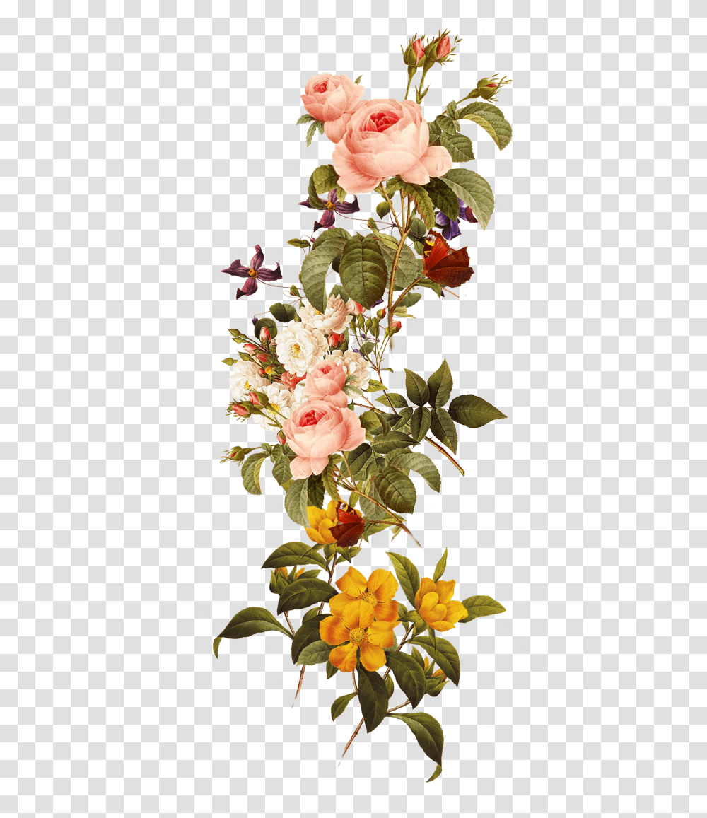 Library Of Free Download Images Flowers Files Flowers, Plant, Blossom, Flower Arrangement, Ikebana Transparent Png