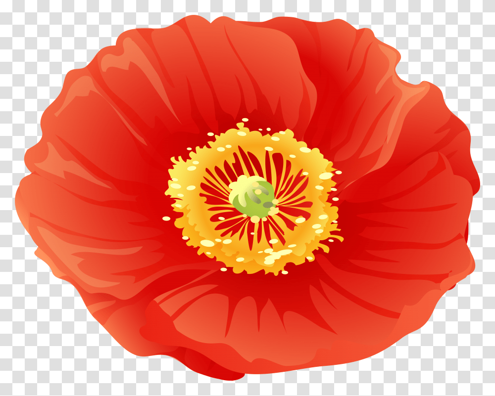 Library Of Free Poppy Flower Clip Art Poppies, Plant, Blossom, Petal, Rose Transparent Png