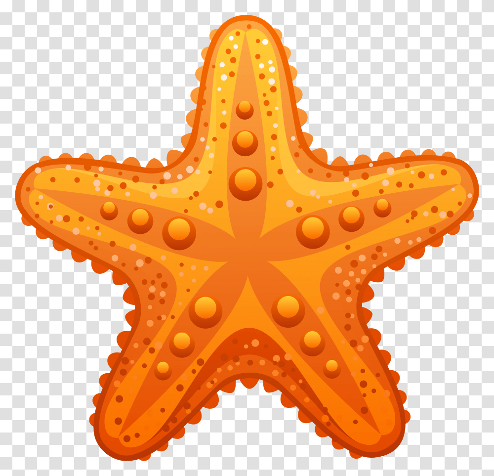 Library Of Image Freeuse Download Star Fish Files Estrella De Mar Ilustracion, Sea Life, Animal, Starfish, Invertebrate Transparent Png