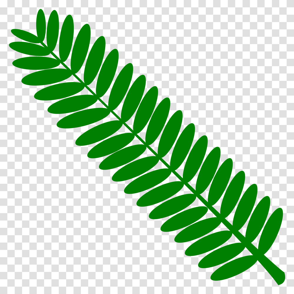 Library Of Jpg With A Curved Arrow Files Green Curved Arrows, Plant, Leaf, Fern Transparent Png