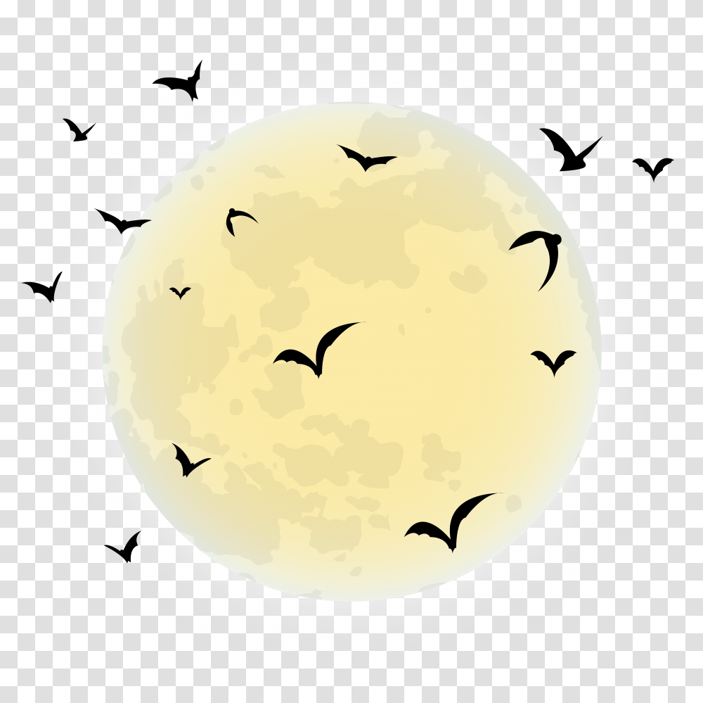 Library Of Moon Clip Art Freeuse Download Halloween Background, Bird, Animal, Text, Outdoors Transparent Png