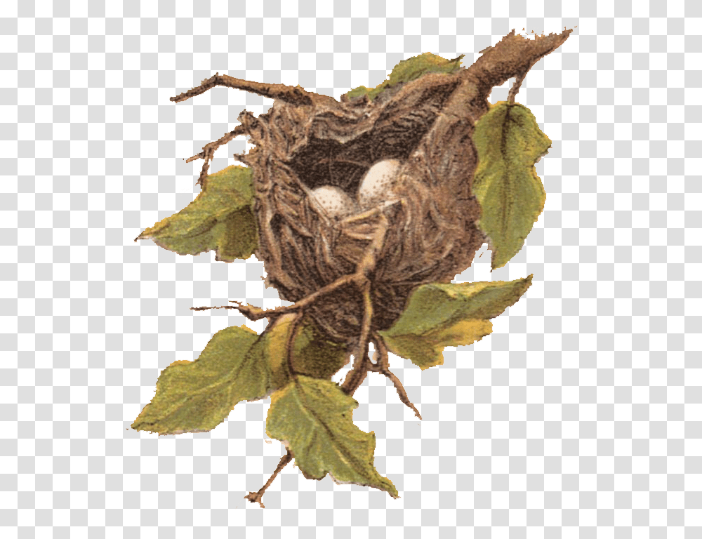 Library Of Nest In Tree Black And White Bird Nest Clip Art, Wasp, Bee, Insect, Invertebrate Transparent Png