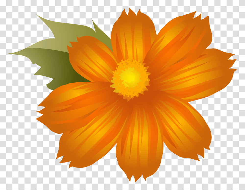 Library Of Orange Flower Clip Art Black Clip Art, Plant, Petal, Blossom, Dahlia Transparent Png