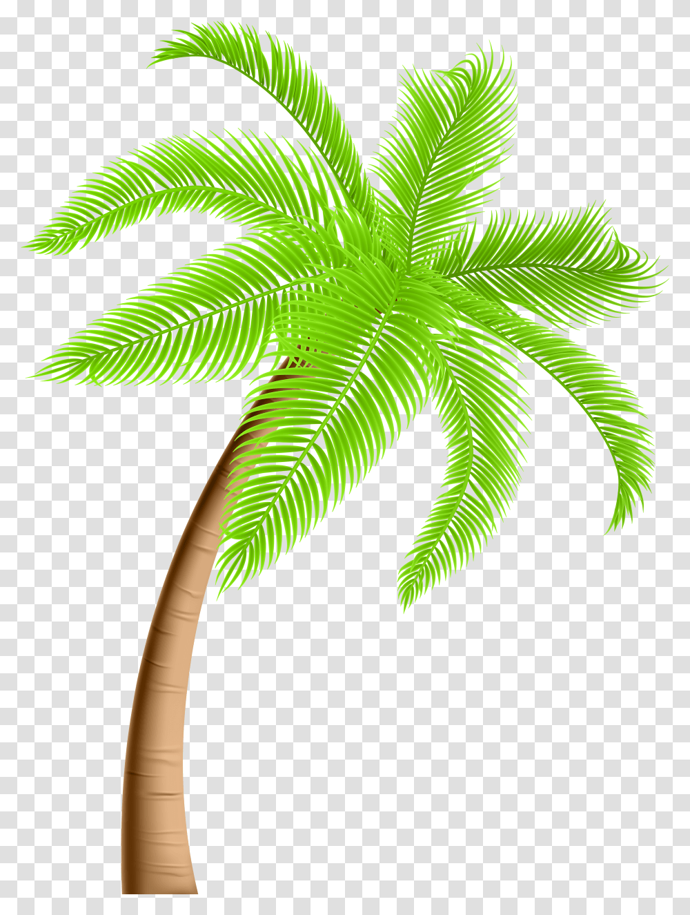 Library Of Palm Tree Jpg Freeuse Background Palm Tree Transparent Png