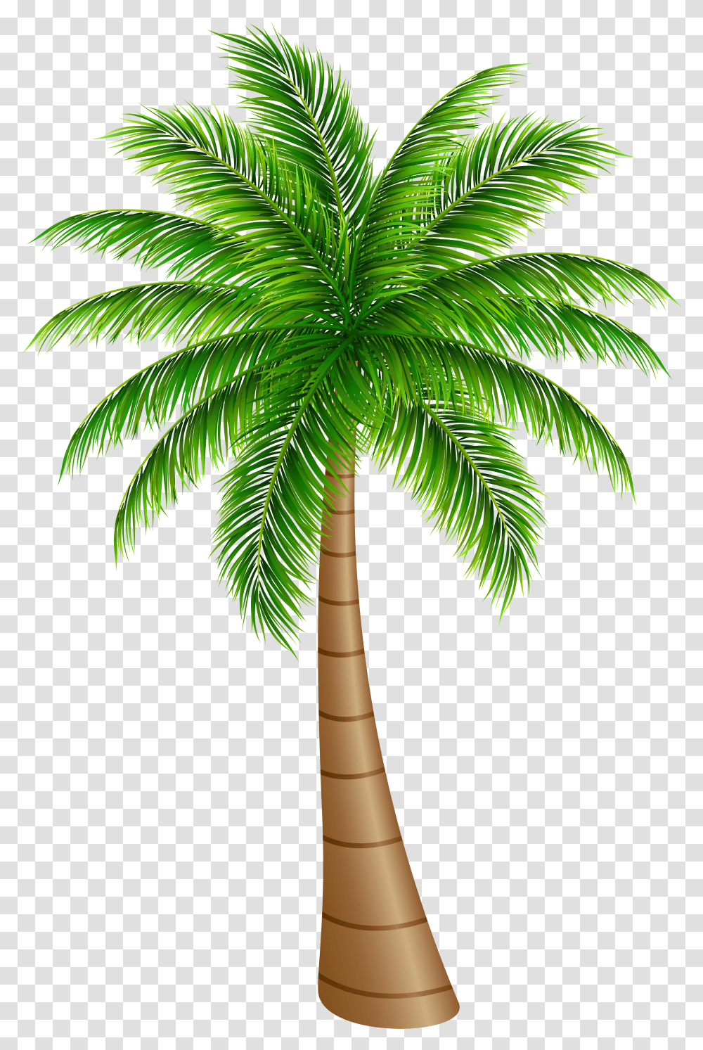 Library Of Palm Tree With Hammock Picture Free Download Palm Tree Clipart Transparent Png