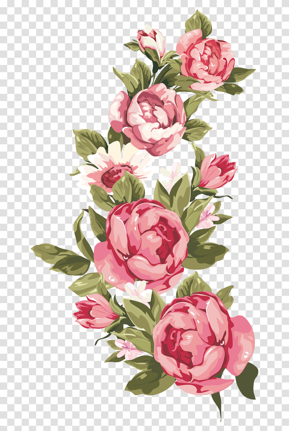 Library Of Peony Flower Free Vintage Text Box, Plant, Blossom, Rose, Carnation Transparent Png