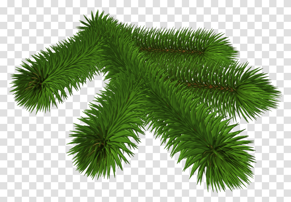 Library Of Pine Tree Branch Jpg Black And White Stock Clip Art, Green, Plant, Leaf, Conifer Transparent Png
